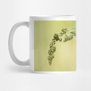 31715 wheat Mug